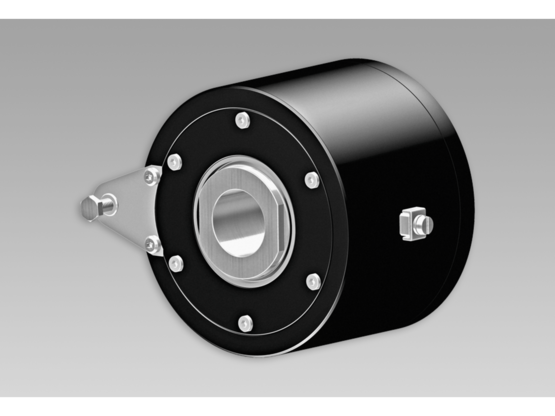 Baumer Motor earthing unit ATEX/IECEx - EExME 12