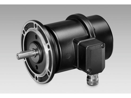 Baumer TDP 0,2, TDPZ 0,2