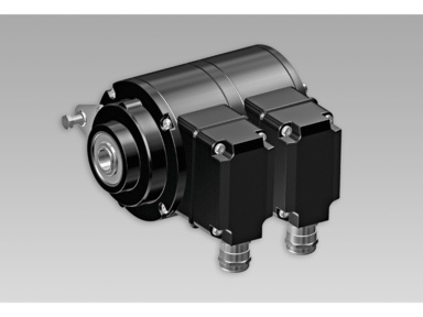Baumer HOG 10 G