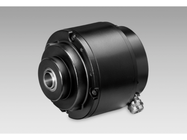Baumer HOG 10