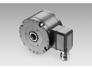 Baumer HOG 86