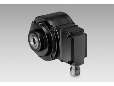 Baumer HOGS 100 S