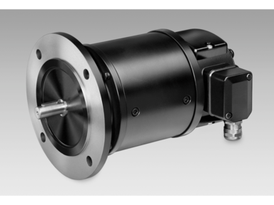 Baumer TDP 13, TDPZ 13